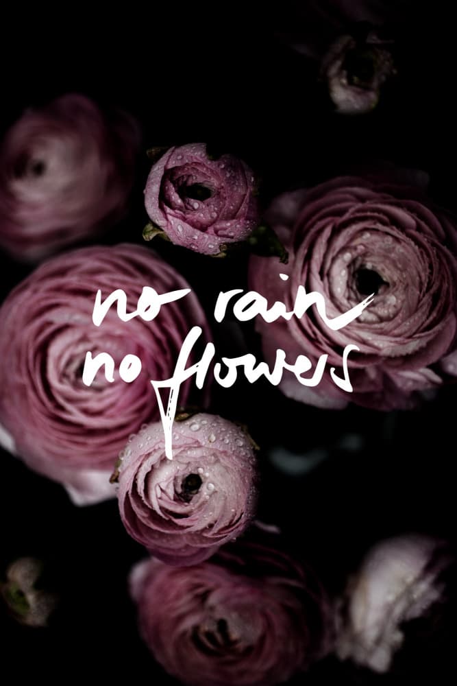 No Rain No Flowers 2 by Mareike Böhmer — canvas wall art