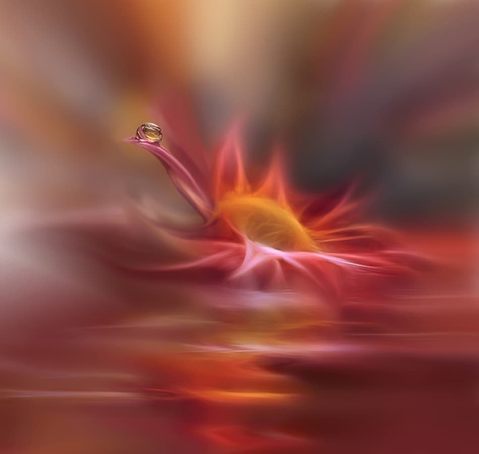 Ethereal Floral Glow by Juliana Nan — canvas wall art