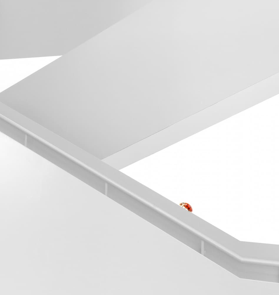 Red Ladybug Clean Lines by Ivan Huang — canvas wall art