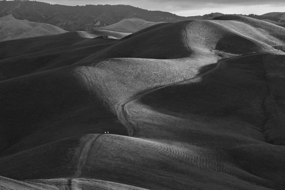 Monochrome Rolling Hills by Yun Mao — canvas wall art