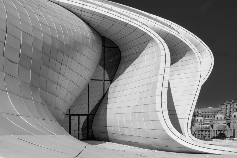 Fluid Modern Curves by Zina Heg — canvas wall art