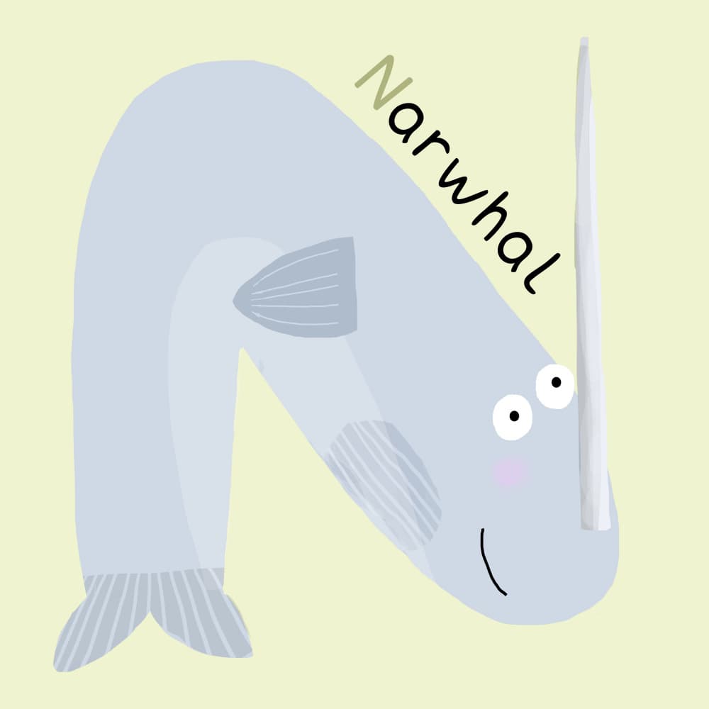 Cute N Narwhal by Carla Daly — canvas wall art
