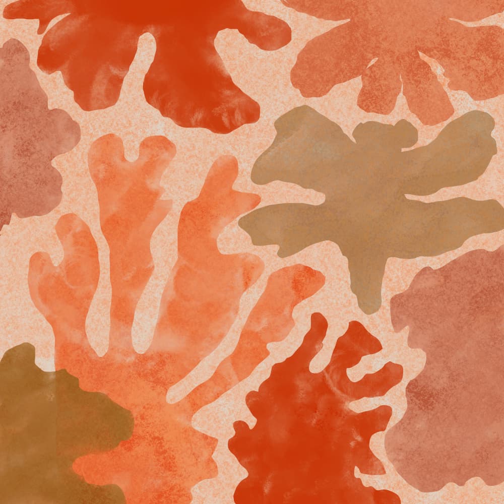 Warm Organic Forms by Aliya Putrus — canvas wall art