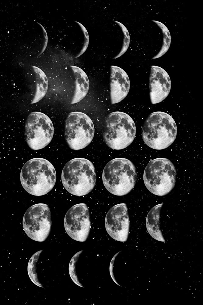 Celestial Moon Phases by Brett Wilson — canvas wall art
