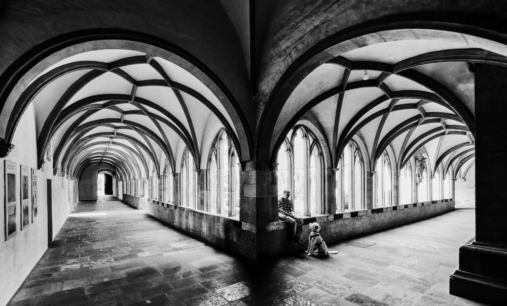 Gothic Cloister Companion by Adam Dauria ☂ — canvas wall art