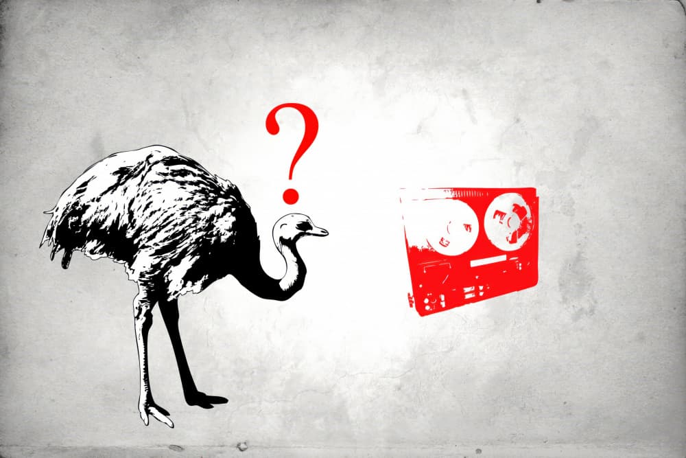 Ostrich Questions Tape Recorder by Rafal Kulik — canvas wall art
