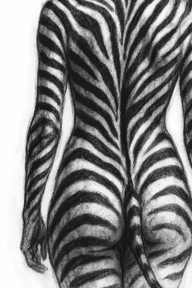 Zebra Striped Form by Natalie Bruns — canvas wall art