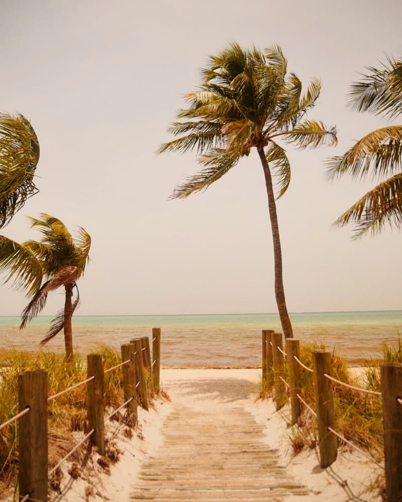 Tropical Beach Path by Del Mundo Imagery — canvas wall art