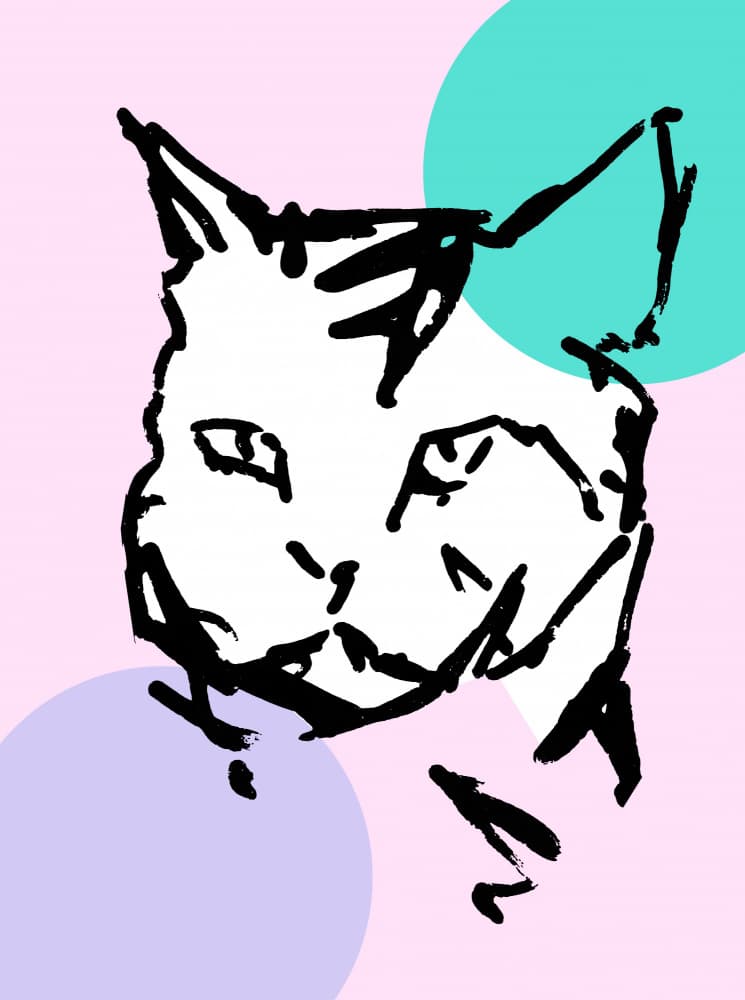 Playful Pastel Cat by casa cartissi — canvas wall art