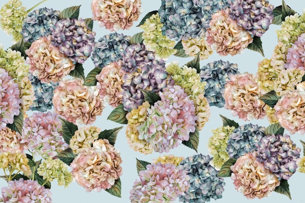 Pastel Hydrangea Garden by Sue Skellern — canvas wall art