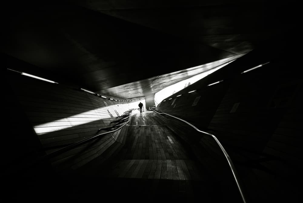 Solitary Path Ahead by Reiko kiri — canvas wall art