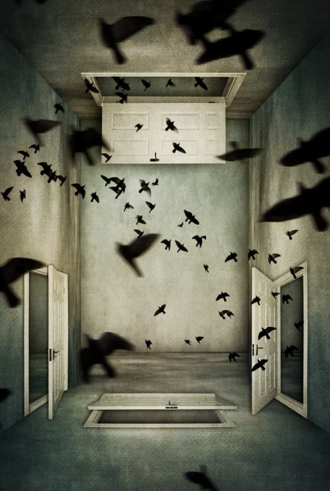 Birds Escape Room by Lucyna Łazarska  ( Lucynda Lu ) — canvas wall art