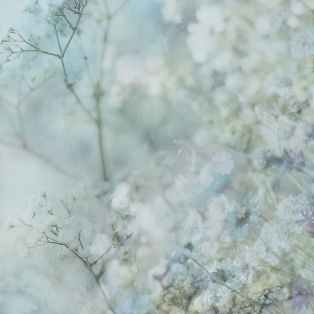 Dreamy Pastel Flowers by Pelin Atilla — canvas wall art