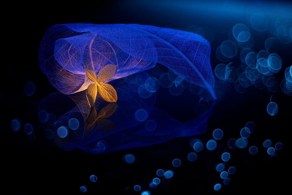 Golden Blue Serenity by Igor Kopcev — canvas wall art