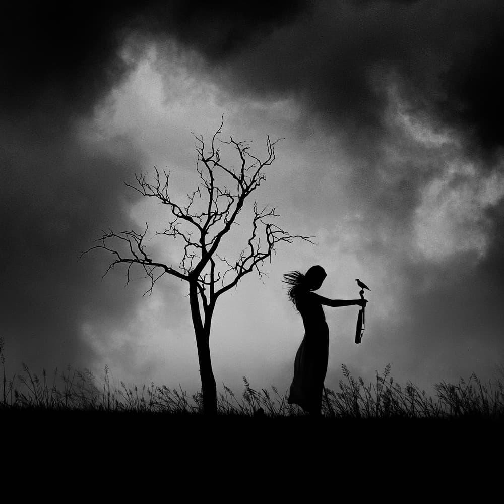 Solitary Woman Dark Sky by Ajie Alrasyid — canvas wall art