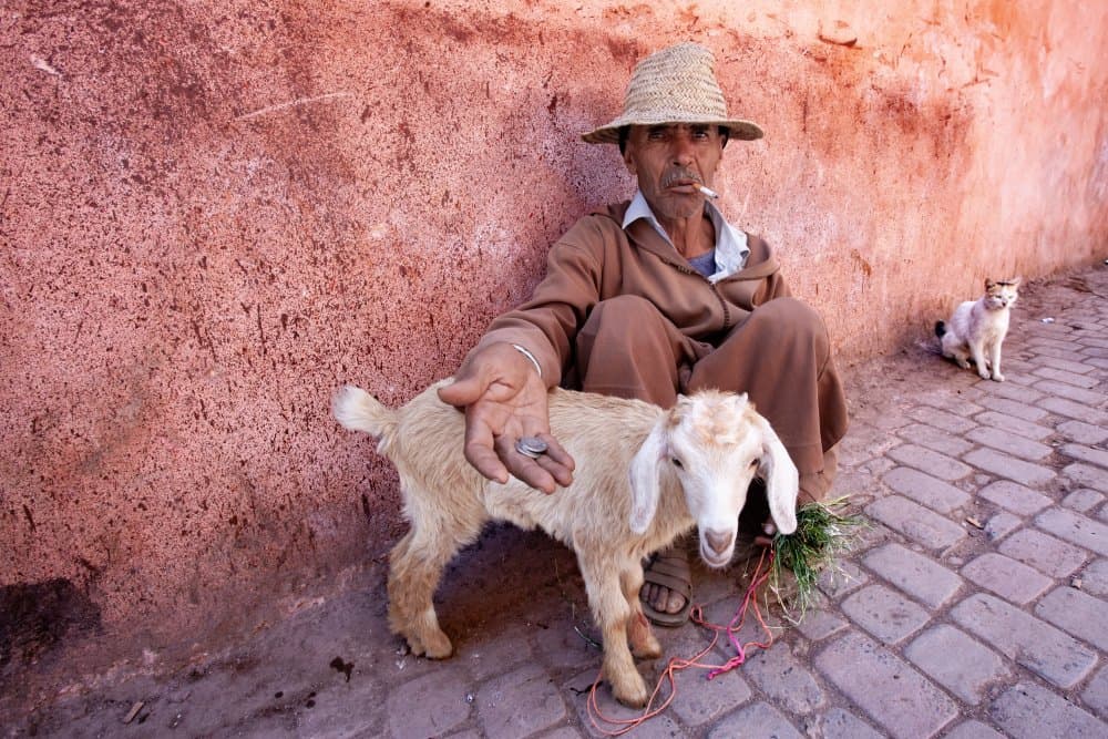 Man With Goat And Cat by Andrei — canvas wall art