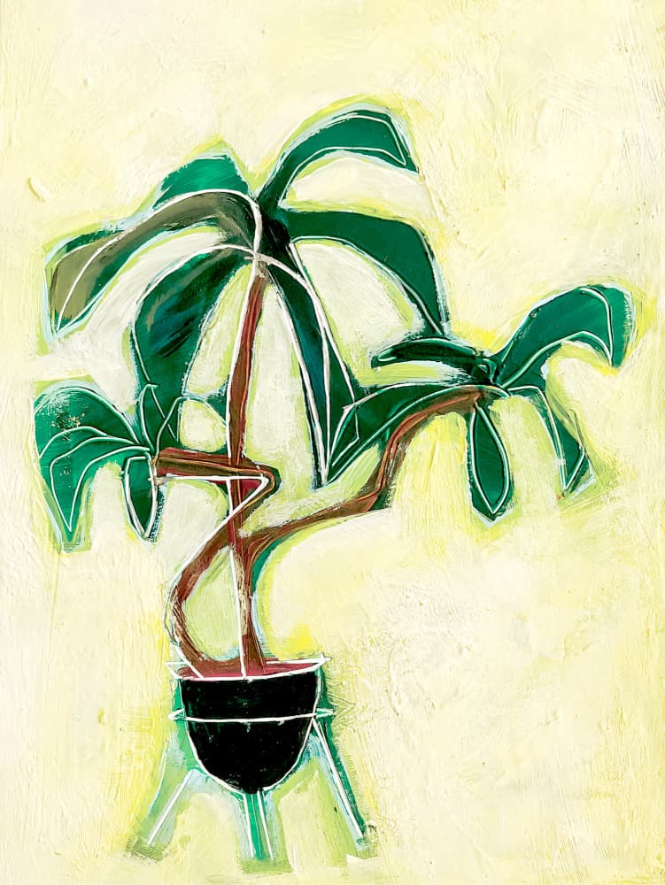 Modern Potted Plant by Sarah Fitzgerald — canvas wall art