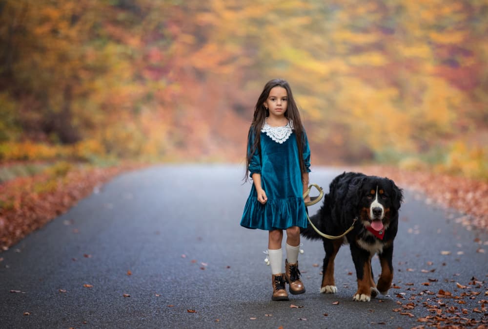 Little Girl Big Dog Walk by Mihai Bogdan R — canvas wall art