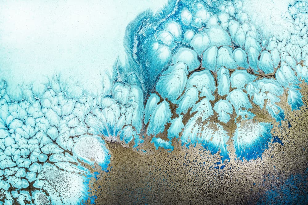 Moonlit Reef by Petra Meikle de Vlas — canvas wall art