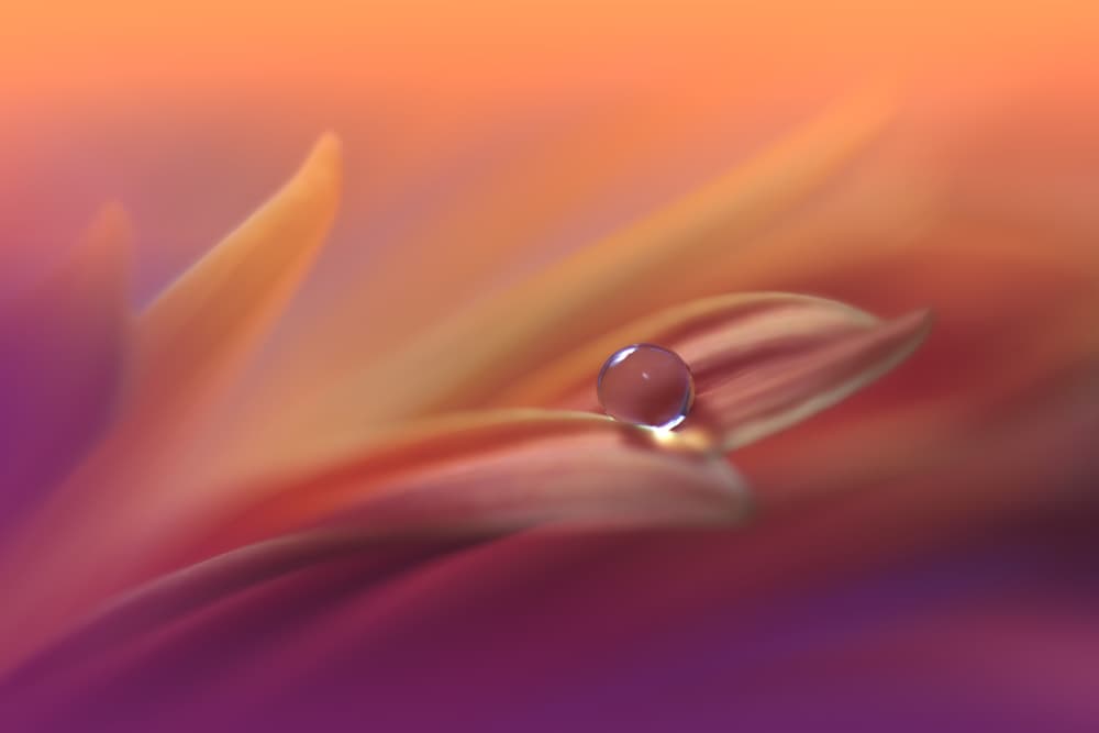 Serene Water Drop by Juliana Nan — canvas wall art
