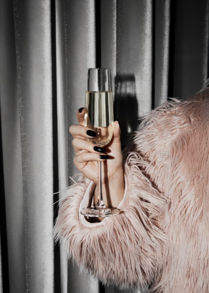 Pink Fur Champagne Toast by Andreas Magnusson — canvas wall art