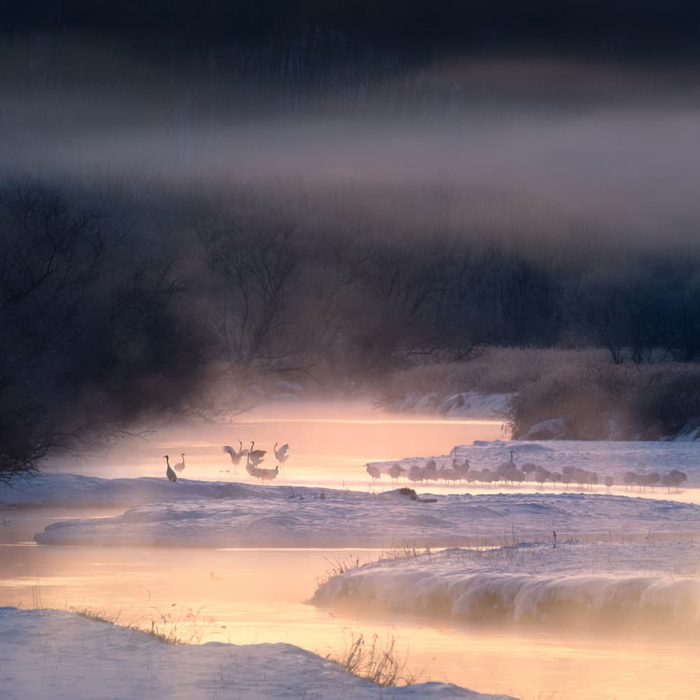Otowa Morning by Aidong Ning — canvas wall art