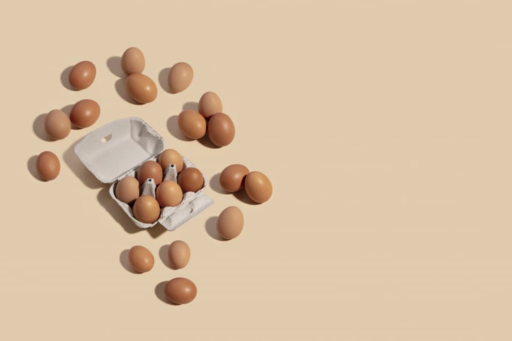 Farm Fresh Eggs by Julia Ramiro — canvas wall art