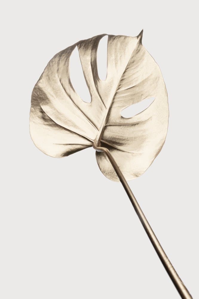 Golden Monstera Leaf by Pictufy Studio III — canvas wall art
