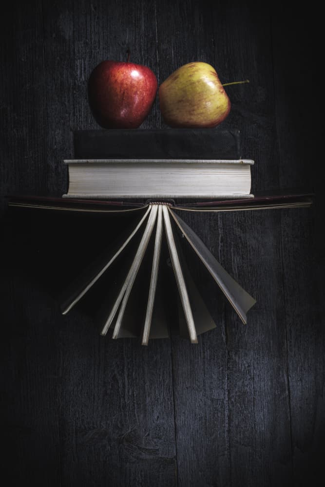 Vintage Books and Apples by Enrico Sottocorna — canvas wall art