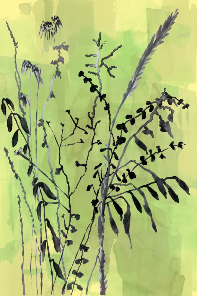 Green Botanical Silhouettes by cartissi — canvas wall art