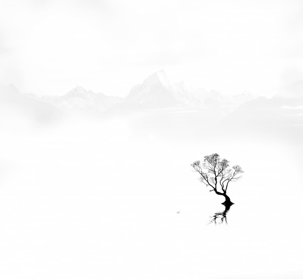 Misty Mountain Lone Tree by Kai Dan — canvas wall art