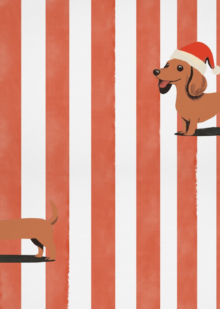 Christmas Dachshund Duo by Pictufy Studio — canvas wall art