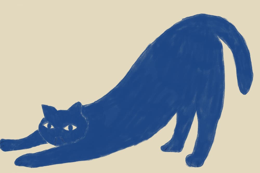 Stretching Blue Cat by The Art Concept — canvas wall art