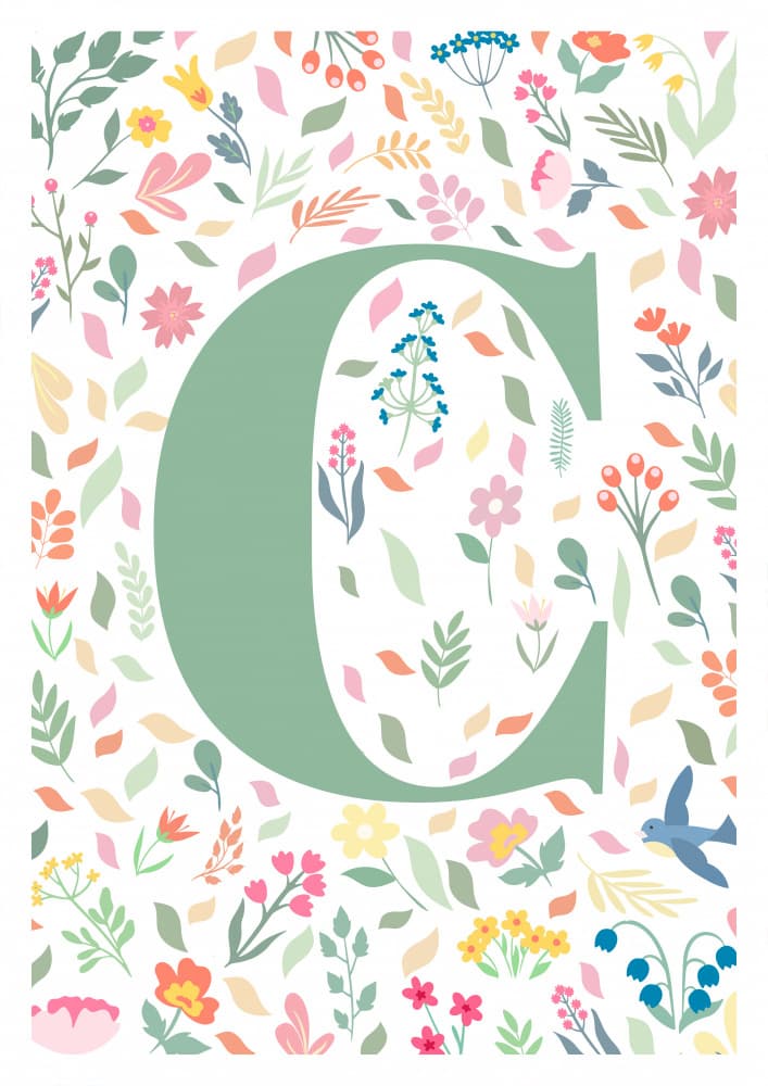 Spring Floral C by Sarah Manovski — canvas wall art