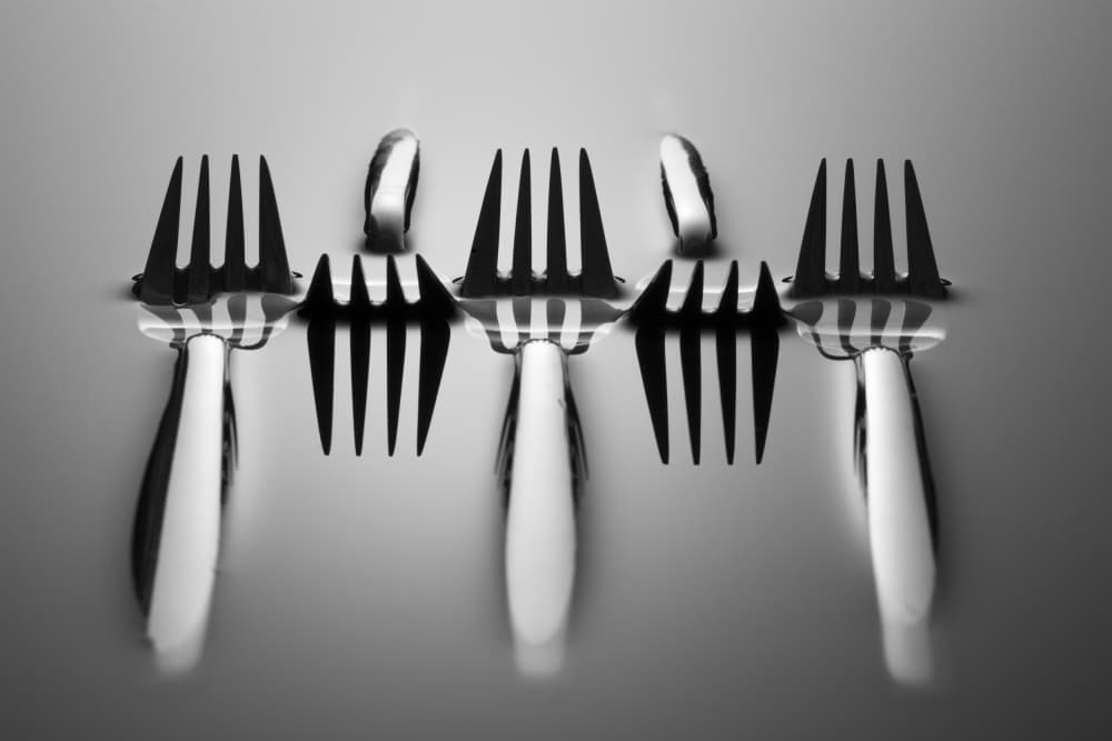 Forks and Reflections by Wieteke de Kogel — canvas wall art