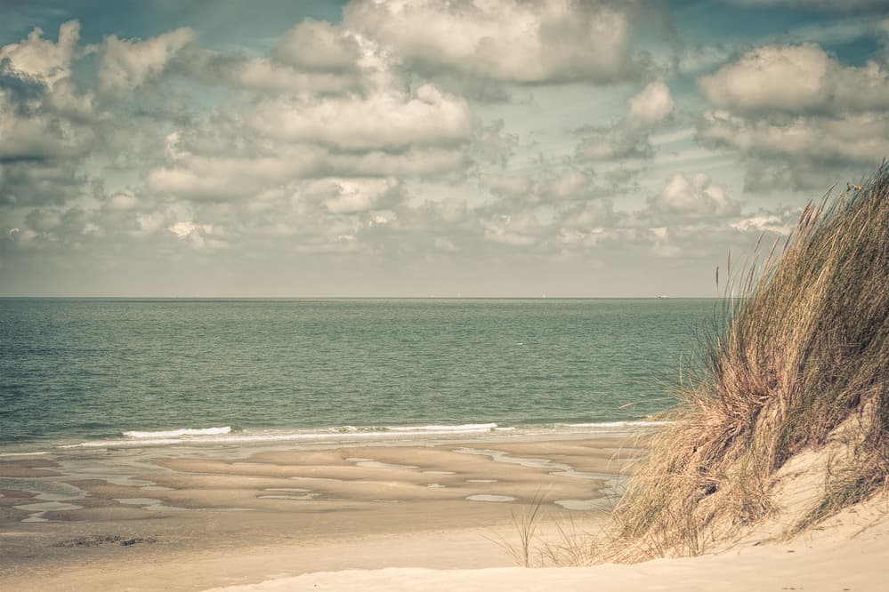 Serene Coastal Dunes