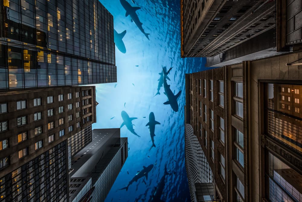 Sharks Over Skyscrapers by Emil abu milad — canvas wall art