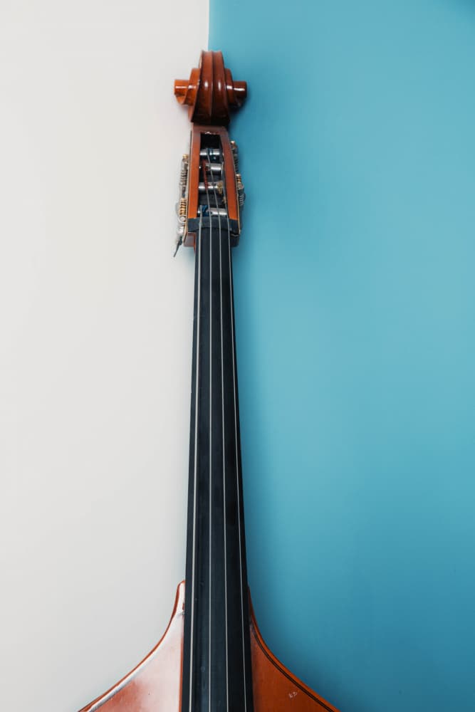 Elegant Upright Bass by Meraj — canvas wall art