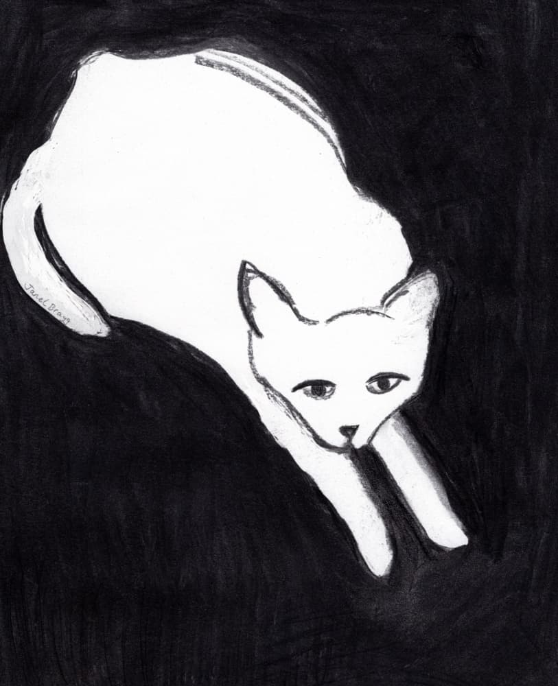 Minimalist White Cat by Janel Bragg — canvas wall art