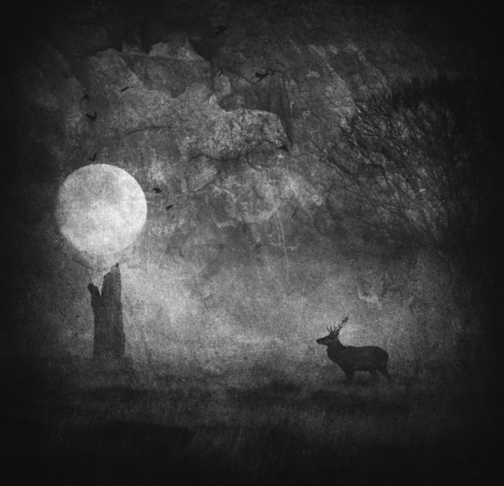Mysterious Forest Moon Deer by Robert Fabrowski — canvas wall art
