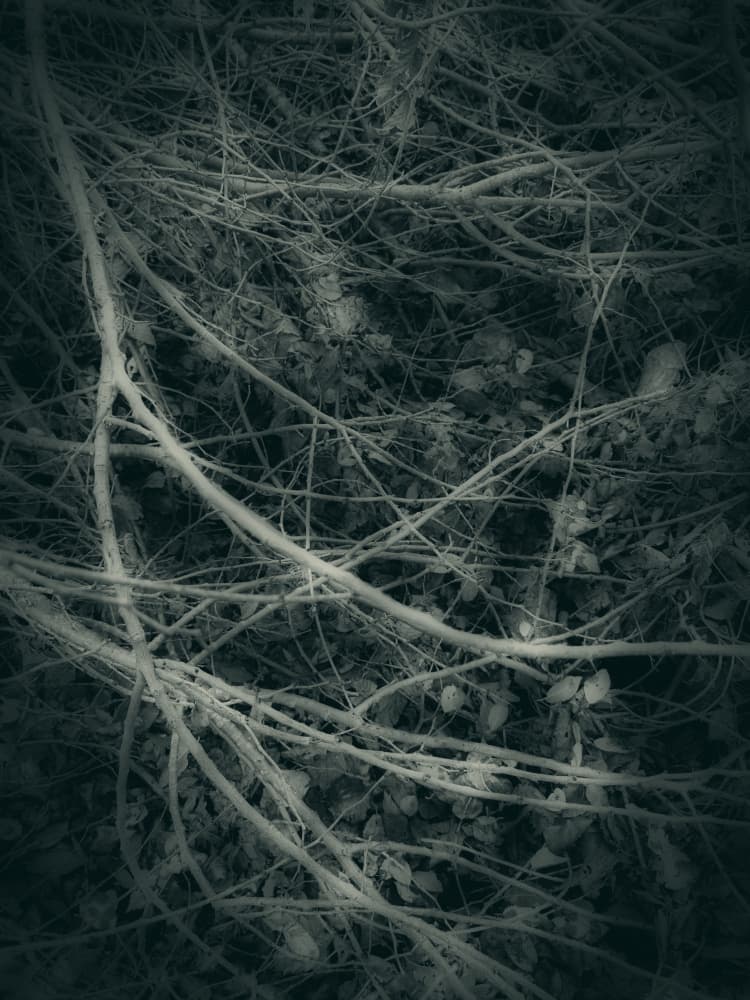 Gothik (6) by Angelo Cerantola — canvas wall art