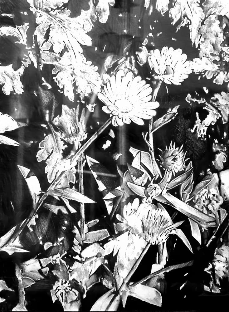 Monochrome Garden Blooms by Kulik — canvas wall art