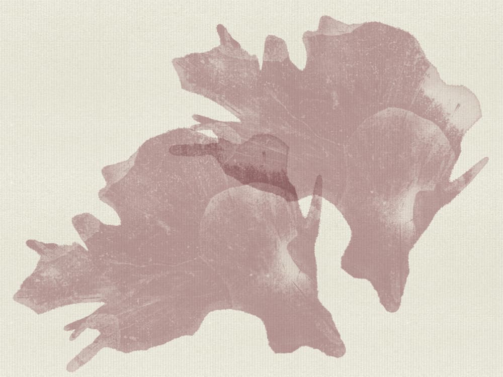 Ethereal Organic Shapes by Dina Dankers — canvas wall art