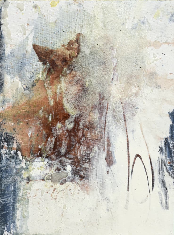 Expressive Horse Painting by Deb Chaney — canvas wall art