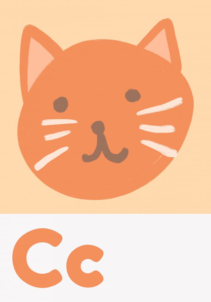 Cuddly Cat C by Athene Fritsch — canvas wall art