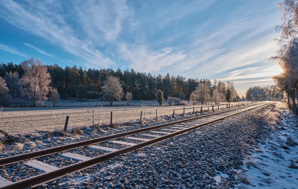 Snowy Forest Tracks by Geertjan Plooijer — canvas wall art