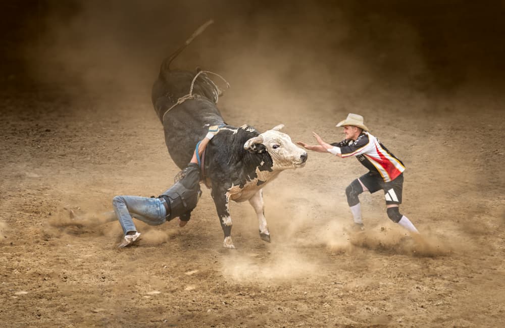 Rodeo Bull Action by Leeian Dai — canvas wall art
