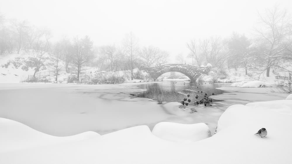 Misty Winter Bridge by menghuailin — canvas wall art