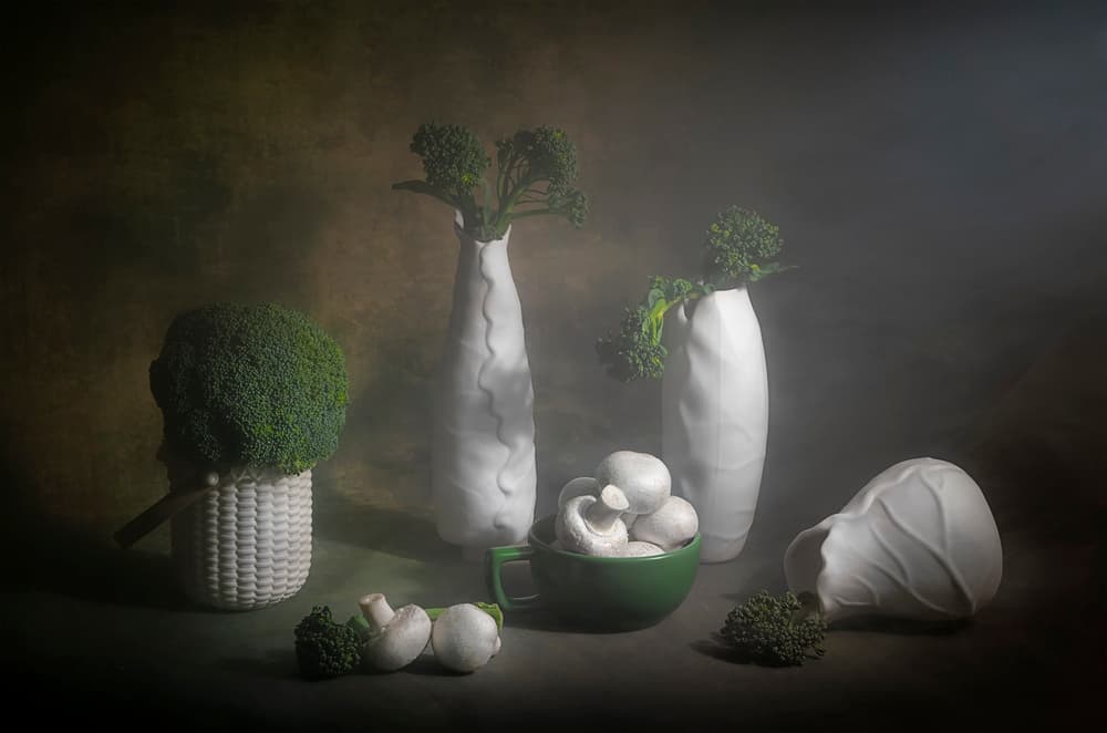 Moody Broccoli Still Life by Lydia Jacobs — canvas wall art