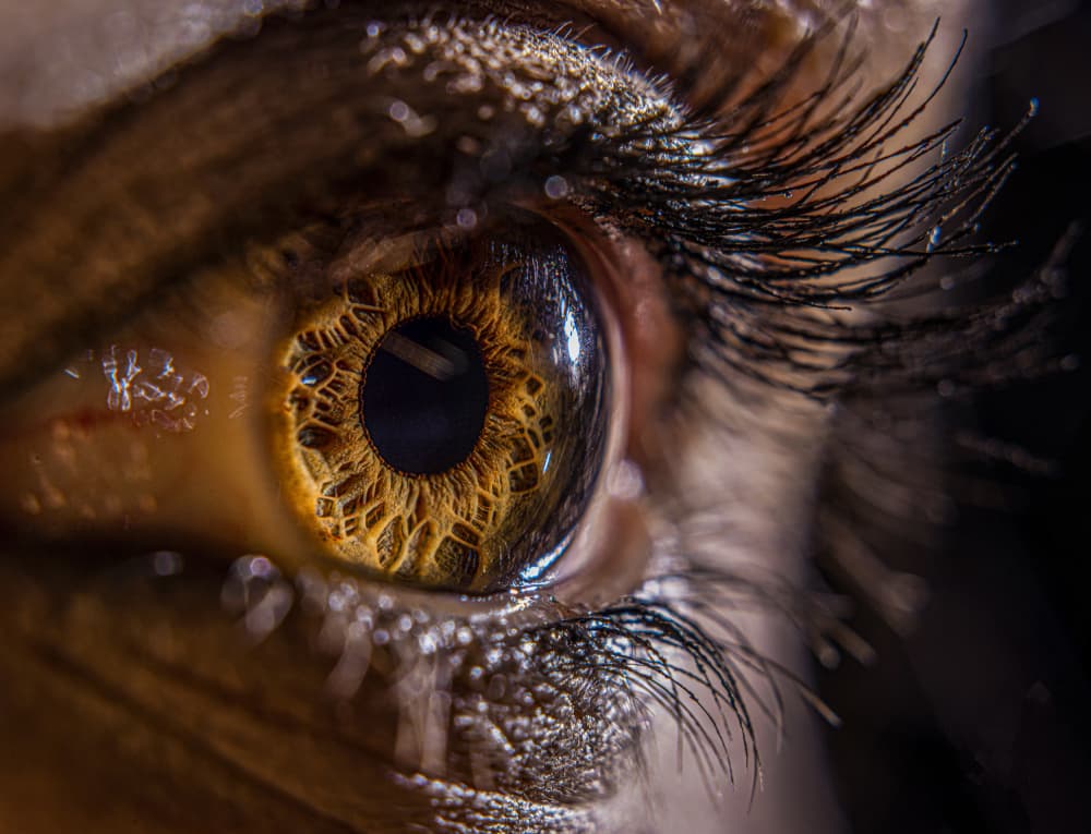 Captivating Brown Eye by Abbas Arabzadeh — canvas wall art